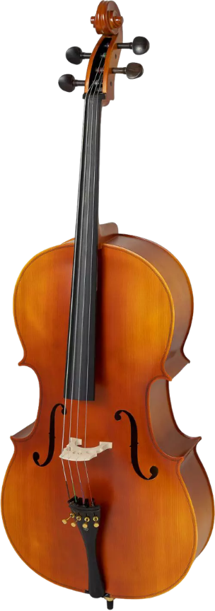 Violoncelo Tokai