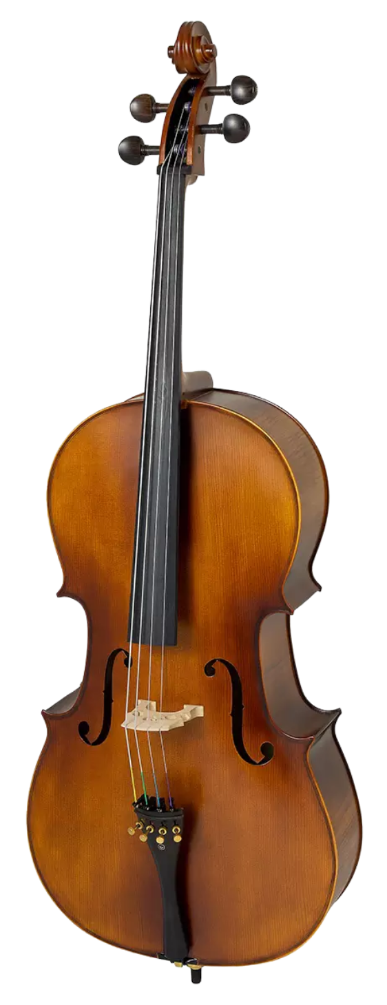 Violoncelo Tokai