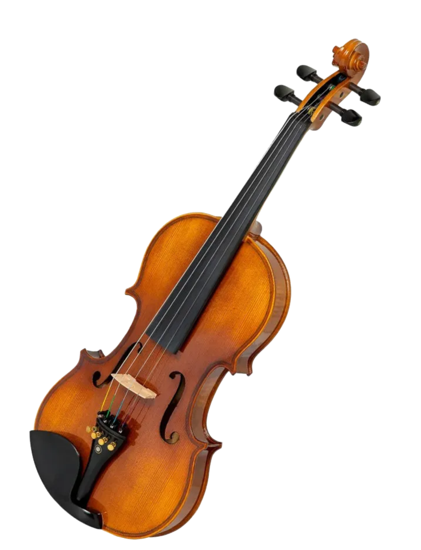 Violino Tokai