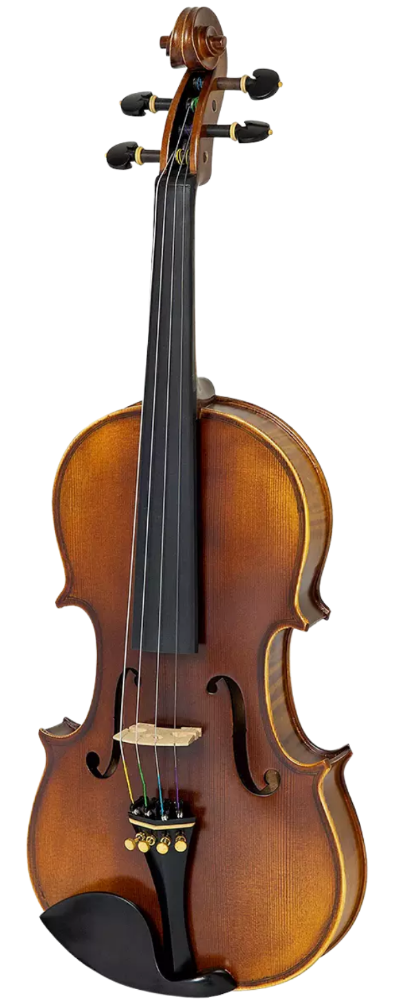 Violino Tokai