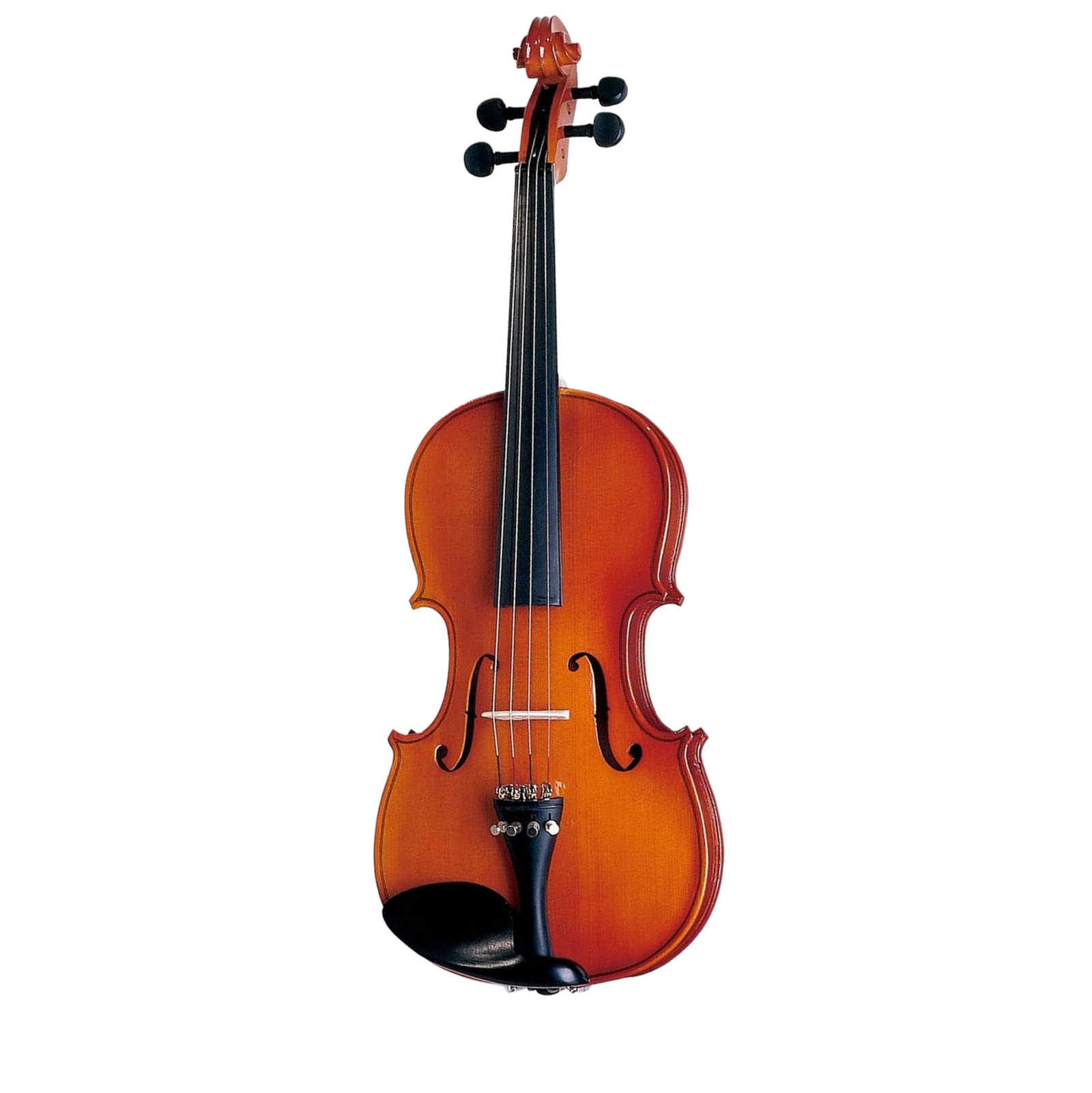 Violino Michael