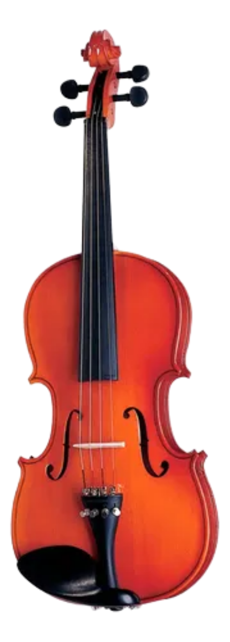 Violino Michael