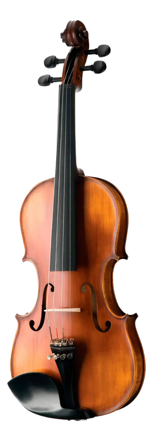 Violino Michael