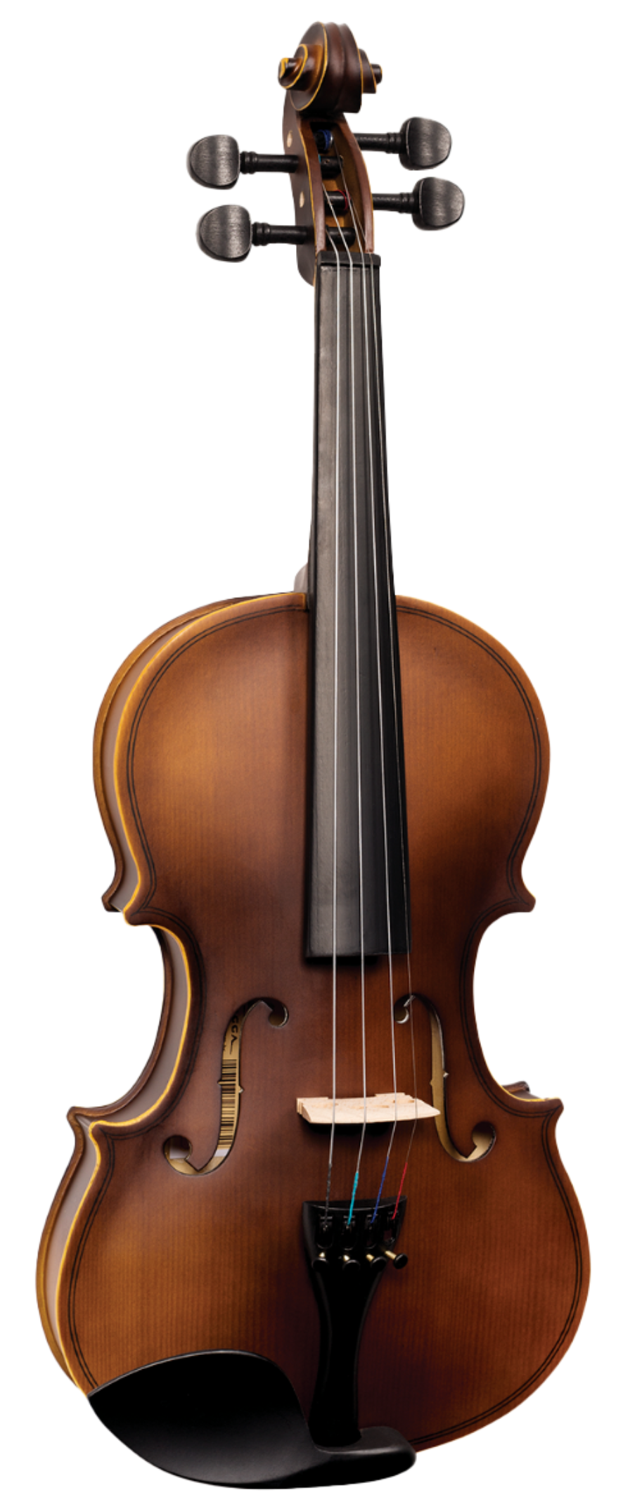 Viola Vogga